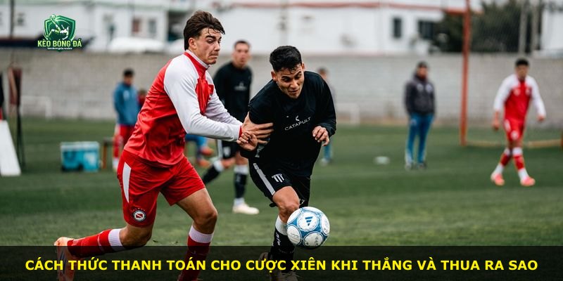Cách thức thanh toán cho cược xiên khi thắng và thua ra sao