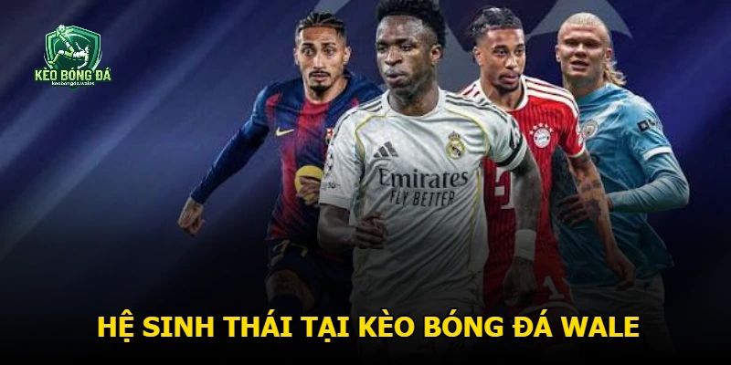 Hệ sinh thái tại Kèo bóng đá Wale