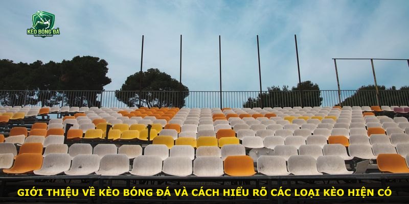 Giới thiệu về kèo bóng đá và cách hiểu rõ các loại kèo hiện có