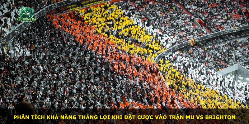 Phân tích khả năng thắng lợi khi đặt cược vào trận MU vs Brighton