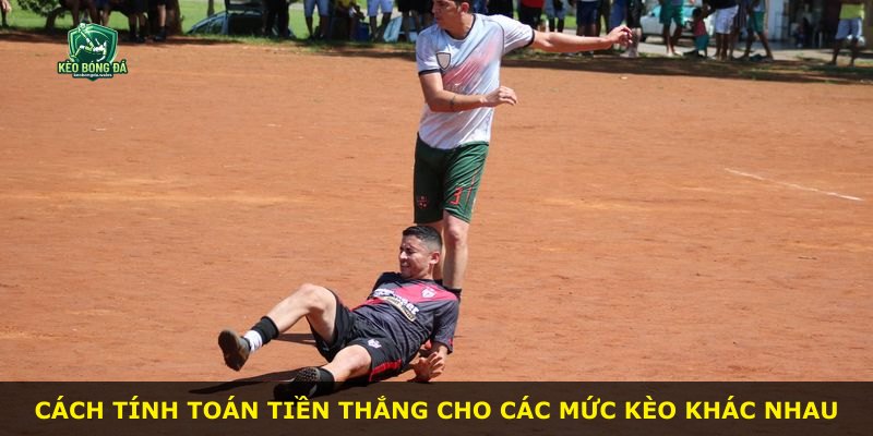 Cách tính toán tiền thắng cho các mức kèo khác nhau
