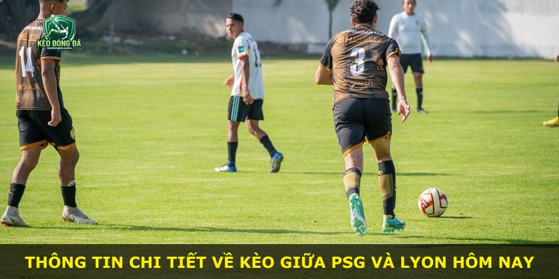Thông tin chi tiết về kèo giữa PSG và Lyon hôm nay