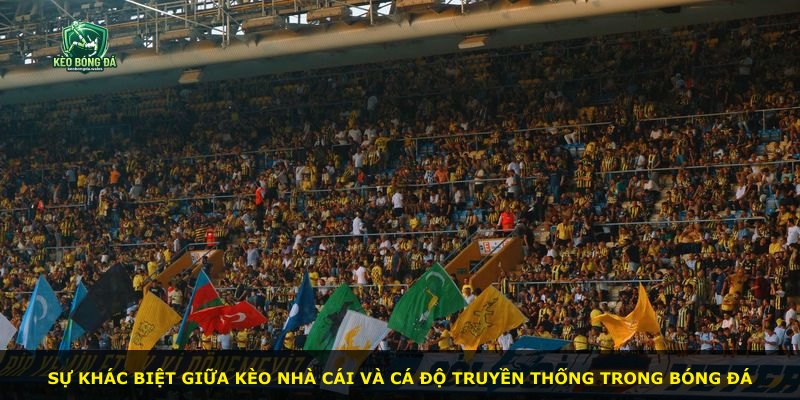 Sự khác biệt giữa kèo nhà cái và cá độ truyền thống trong bóng đá