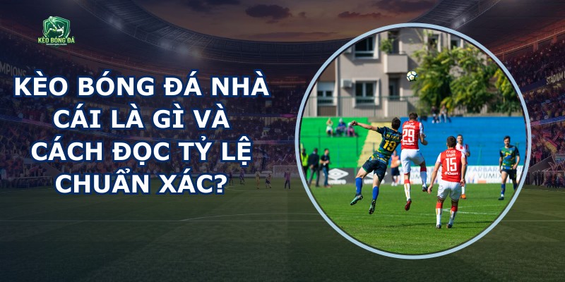 Kèo Bóng Đá Nhà Cái