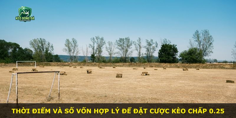 Thời điểm và số vốn hợp lý để đặt cược kèo chấp 0.25