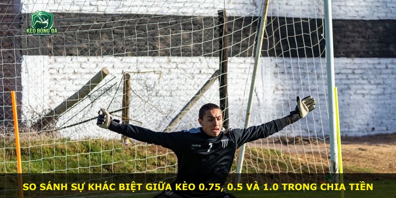So sánh sự khác biệt giữa kèo 0.75, 0.5 và 1.0 trong chia tiền