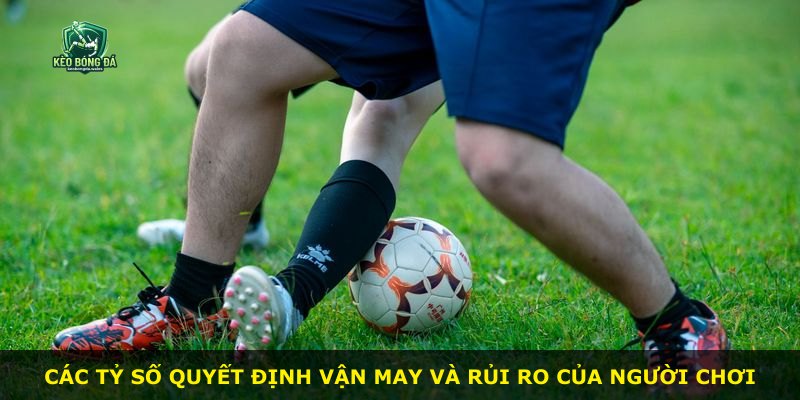 Các tỷ số quyết định vận may và rủi ro của người chơi