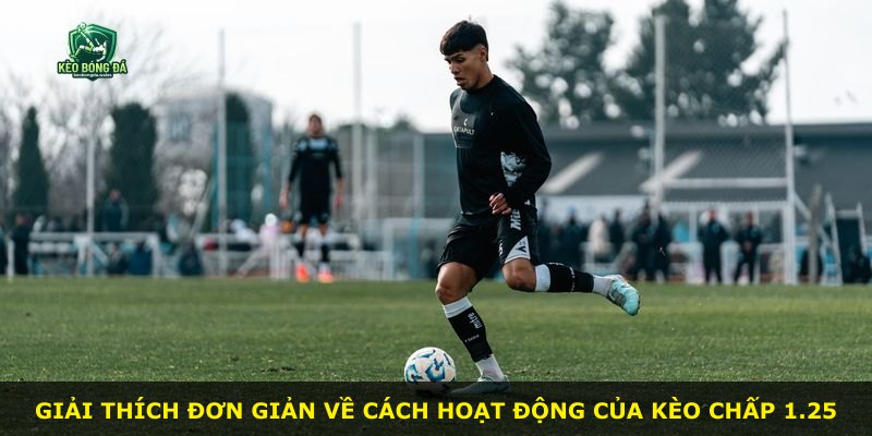Giải thích đơn giản về cách hoạt động của kèo chấp 1.25