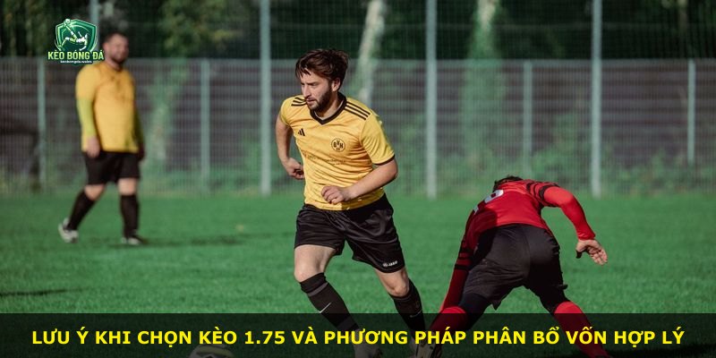 Lưu ý khi chọn kèo 1.75 và phương pháp phân bổ vốn hợp lý