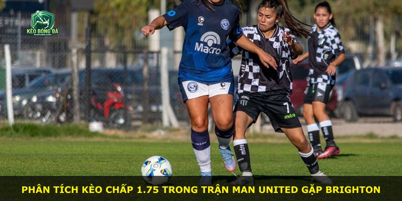 Phân tích kèo chấp 1.75 trong trận Man United gặp Brighton
