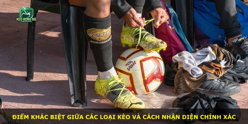 Điểm khác biệt giữa các loại kèo và cách nhận diện chính xác