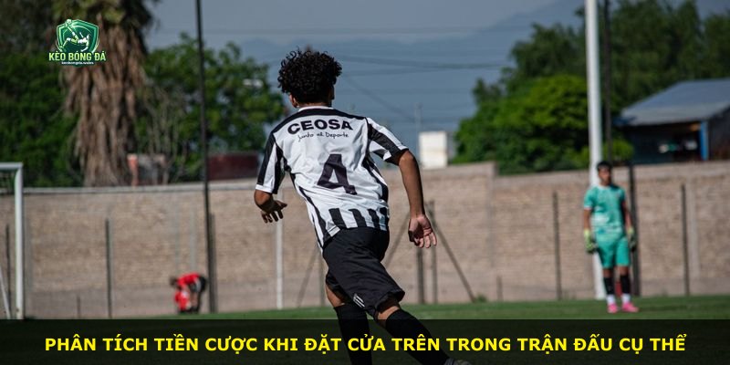 Phân tích tiền cược khi đặt cửa trên trong trận đấu cụ thể