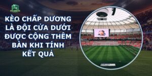 Kèo Chấp Dương