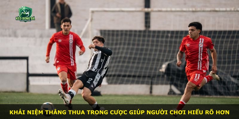 Khái niệm thắng thua trong cược giúp người chơi hiểu rõ hơn