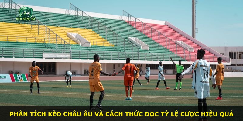 Phân tích kèo Châu Âu và cách thức đọc tỷ lệ cược hiệu quả