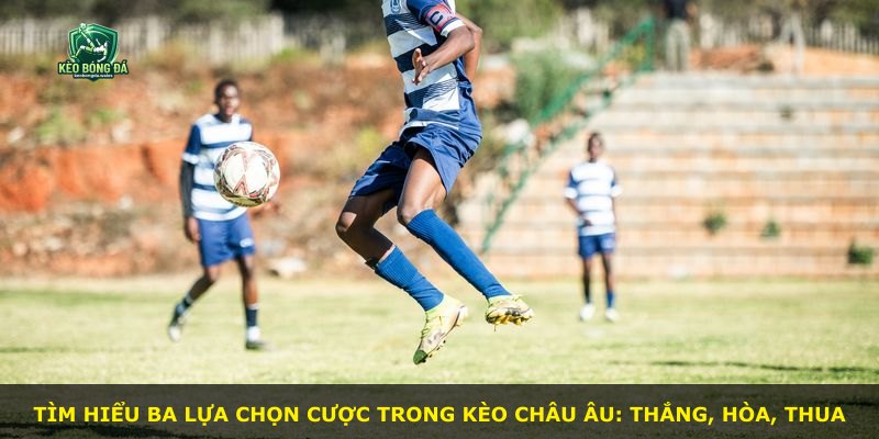 Tìm hiểu ba lựa chọn cược trong Kèo Châu Âu: thắng, hòa, thua