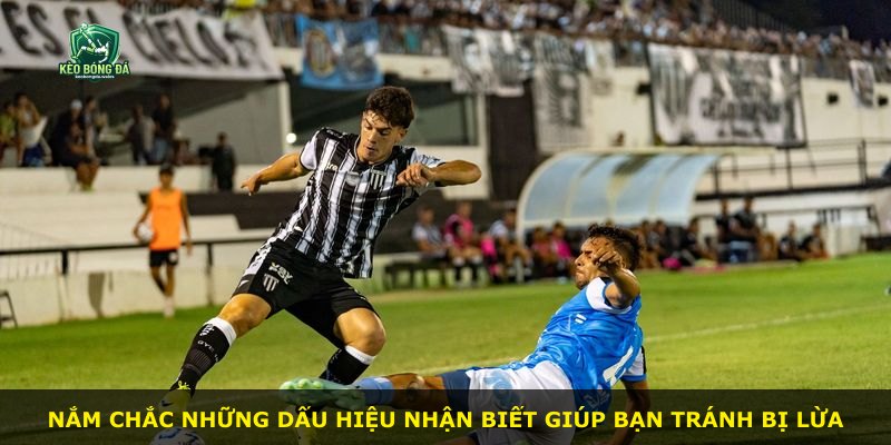 Nắm chắc những dấu hiệu nhận biết giúp bạn tránh bị lừa