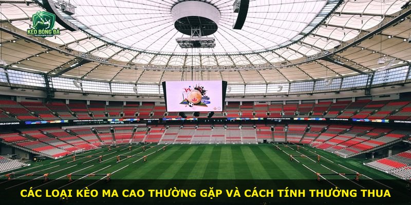 Các loại kèo Ma Cao thường gặp và cách tính thưởng thua