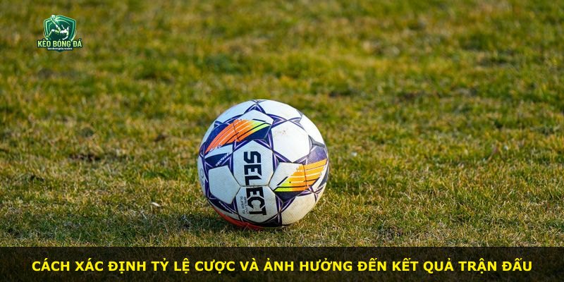 Cách xác định tỷ lệ cược và ảnh hưởng đến kết quả trận đấu