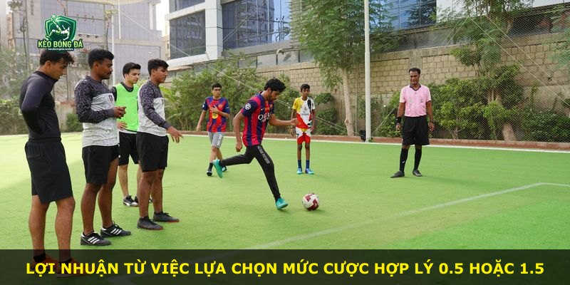 Lợi nhuận từ việc lựa chọn mức cược hợp lý 0.5 hoặc 1.5
