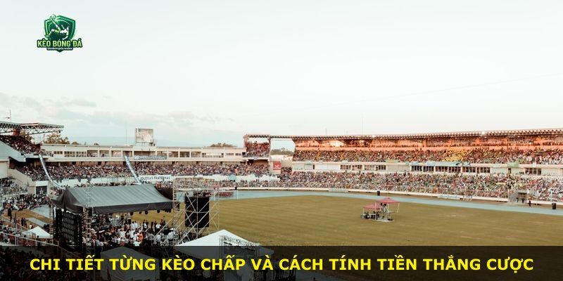 Chi tiết từng kèo chấp và cách tính tiền thắng cược