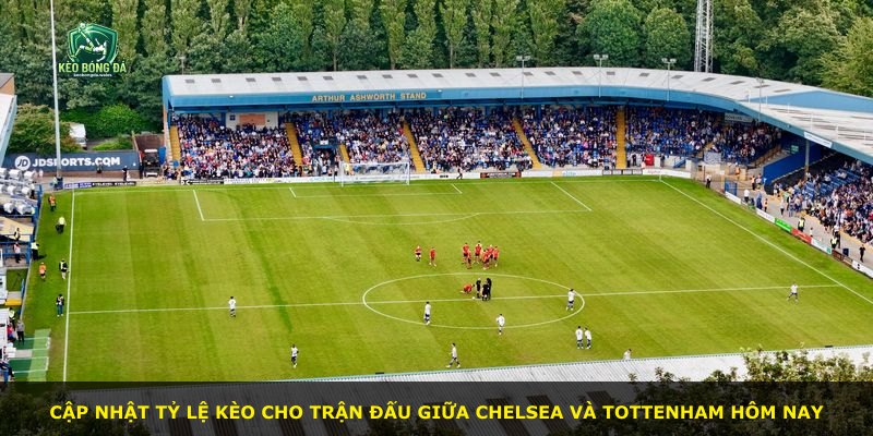 Cập nhật tỷ lệ kèo cho trận đấu giữa Chelsea và Tottenham hôm nay