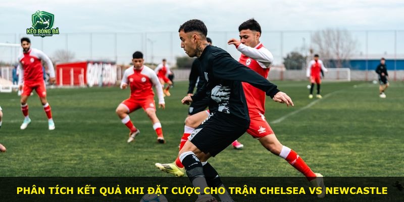 Phân tích kết quả khi đặt cược cho trận Chelsea vs Newcastle
