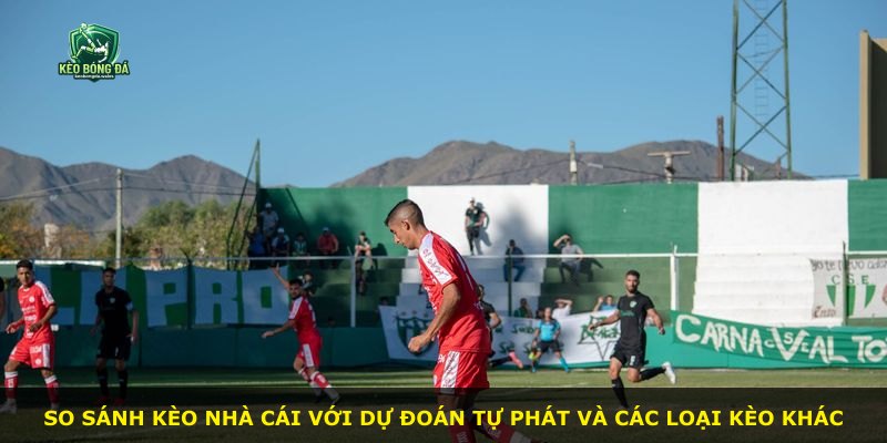 So sánh kèo nhà cái với dự đoán tự phát và các loại kèo khác