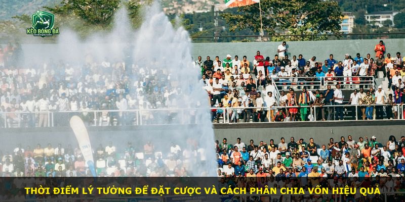 Thời điểm lý tưởng để đặt cược và cách phân chia vốn hiệu quả