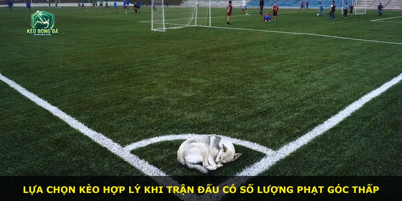 Lựa chọn kèo hợp lý khi trận đấu có số lượng phạt góc thấp