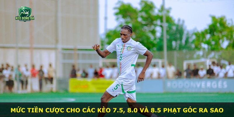 Mức tiền cược cho các kèo 7.5, 8.0 và 8.5 phạt góc ra sao