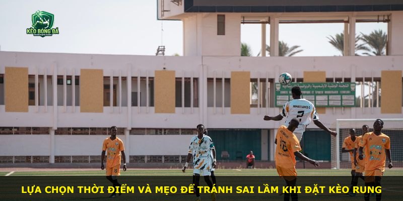 Lựa chọn thời điểm và mẹo để tránh sai lầm khi đặt kèo rung