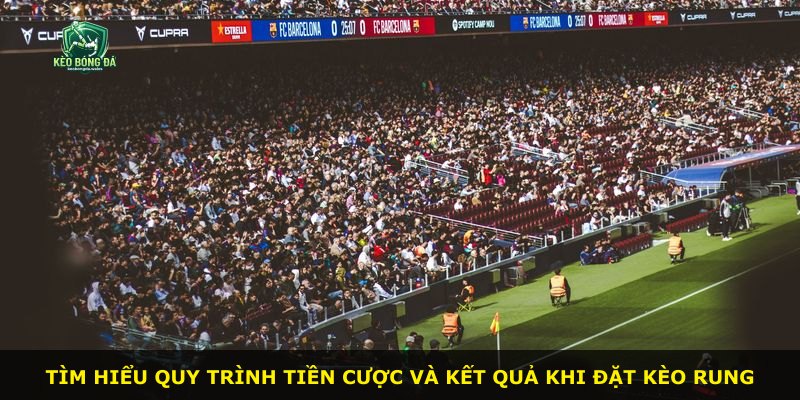Tìm hiểu quy trình tiền cược và kết quả khi đặt kèo rung