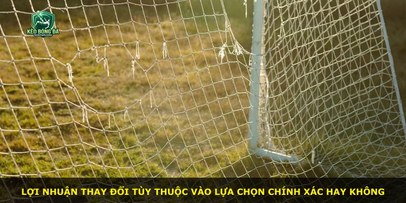 Lợi nhuận thay đổi tùy thuộc vào lựa chọn chính xác hay không
