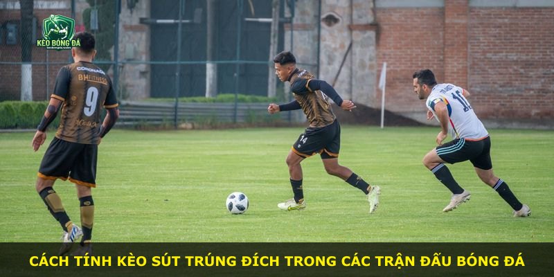 Cách tính kèo sút trúng đích trong các trận đấu bóng đá