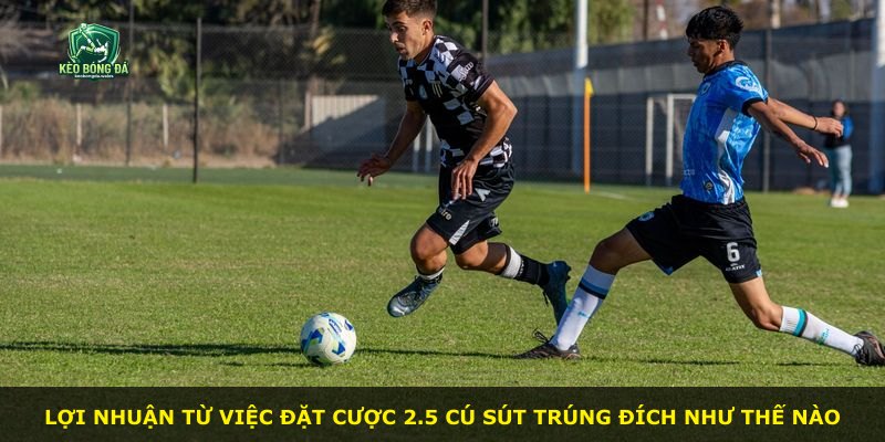 Lợi nhuận từ việc đặt cược 2.5 cú sút trúng đích như thế nào