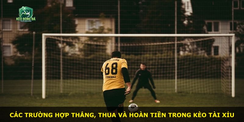 Các trường hợp thắng, thua và hoàn tiền trong kèo Tài Xỉu