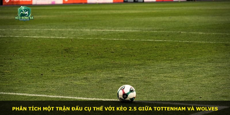 Phân tích một trận đấu cụ thể với kèo 2.5 giữa Tottenham và Wolves