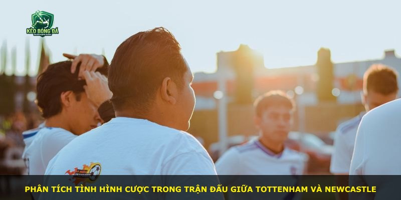 Phân tích tình hình cược trong trận đấu giữa Tottenham và Newcastle
