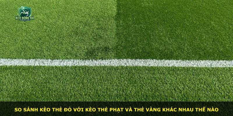 So sánh kèo Thẻ Đỏ với kèo thẻ phạt và thẻ vàng khác nhau thế nào