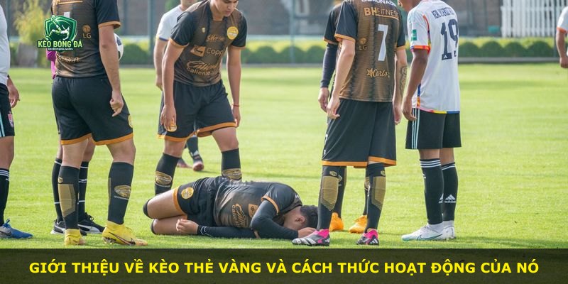 Giới thiệu về kèo thẻ vàng và cách thức hoạt động của nó