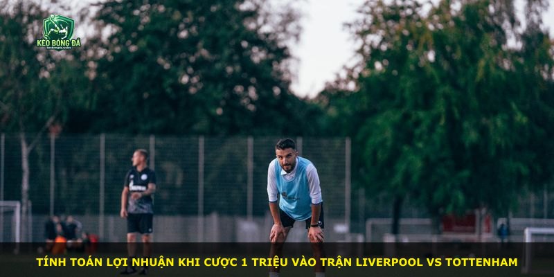 Tính toán lợi nhuận khi cược 1 triệu vào trận Liverpool vs Tottenham
