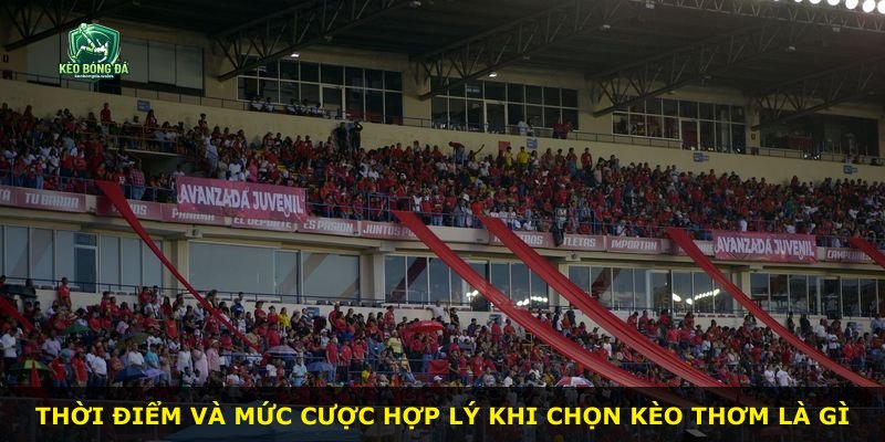 Thời điểm và mức cược hợp lý khi chọn kèo thơm là gì