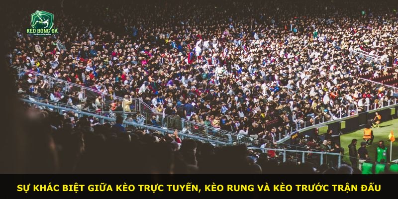 Sự khác biệt giữa kèo trực tuyến, kèo rung và kèo trước trận đấu
