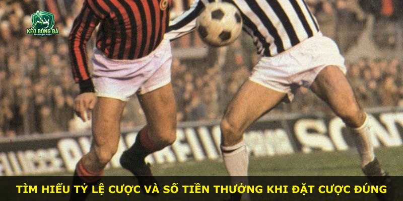 Tìm hiểu tỷ lệ cược và số tiền thưởng khi đặt cược đúng