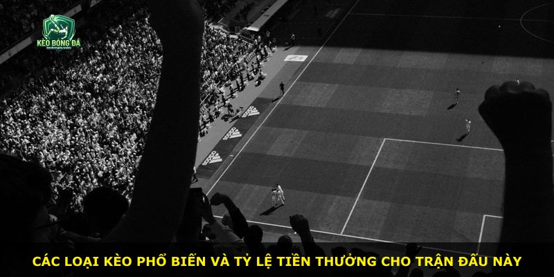Các loại kèo phổ biến và tỷ lệ tiền thưởng cho trận đấu này