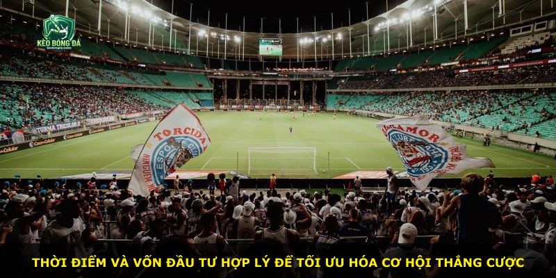 Thời điểm và vốn đầu tư hợp lý để tối ưu hóa cơ hội thắng cược