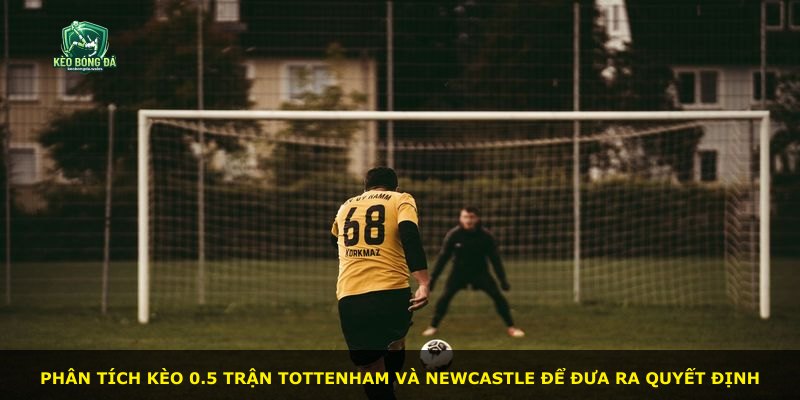 Phân tích kèo 0.5 trận Tottenham và Newcastle để đưa ra quyết định