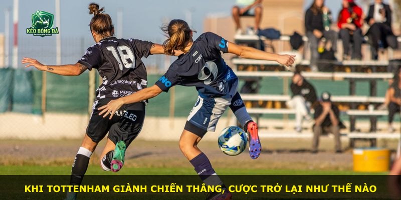Khi Tottenham giành chiến thắng, cược trở lại như thế nào