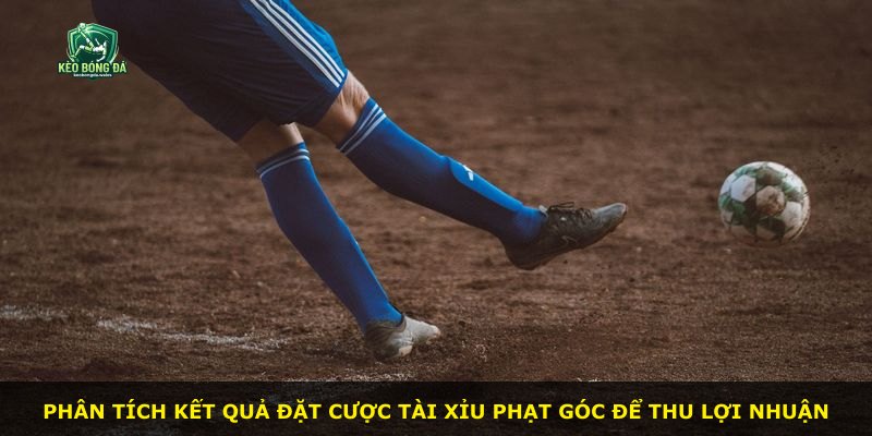 Phân tích kết quả đặt cược tài xỉu phạt góc để thu lợi nhuận